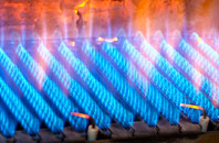Bannockburn gas fired boilers
